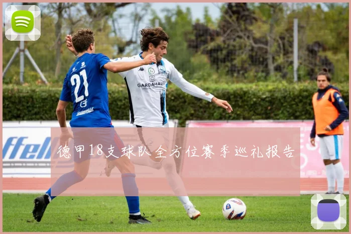 德甲18支球队全方位赛季巡礼报告