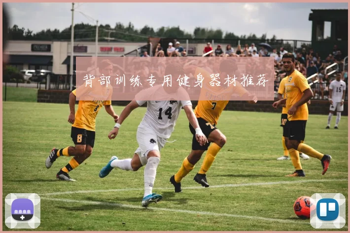 背部训练专用健身器材推荐