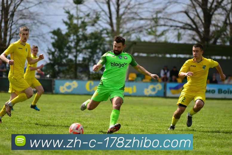 178体育直播平台生态图