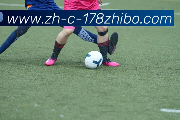 178体育直播APP 封面图